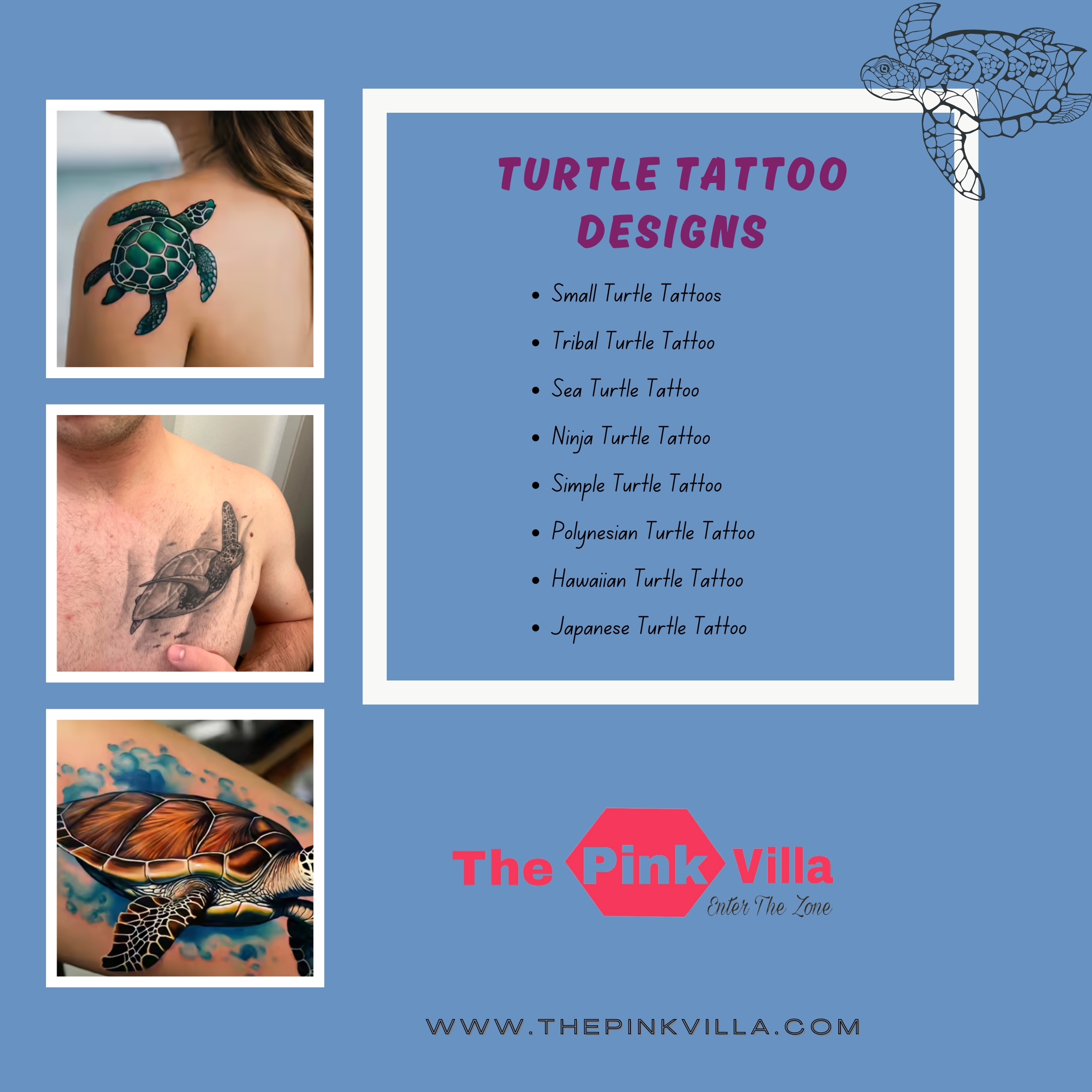 Turtle Tattoo Designs